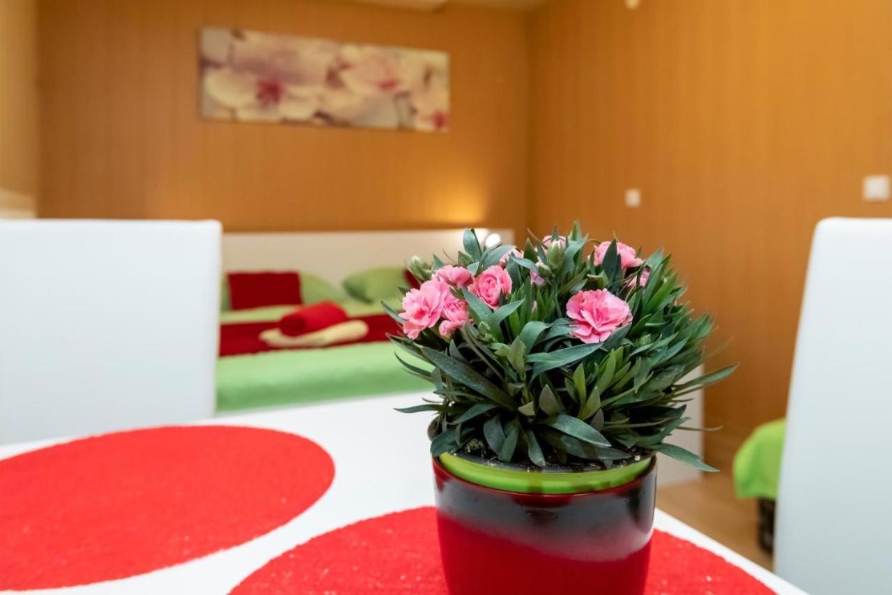 Studio Ara Bohinji-tó Kültér fotó